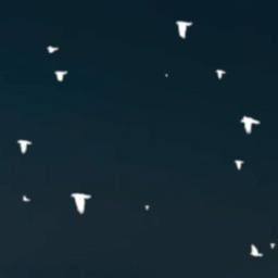 Birds Rig | After Effects Template
